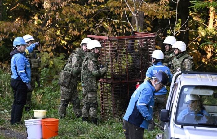 Japan to arm riot police with rifles as bear attacks hit record high