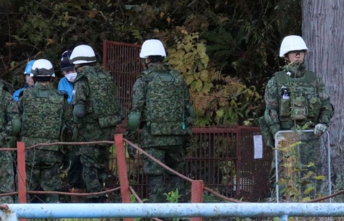 Bears roam towns ‘almost every day’ as Japan faces deadly surge