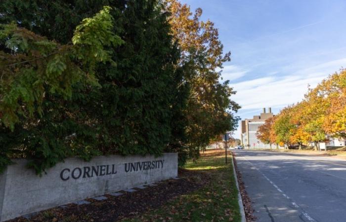Cornell University pays US$60m to end Trump dispute, regains US$250m in federal funding