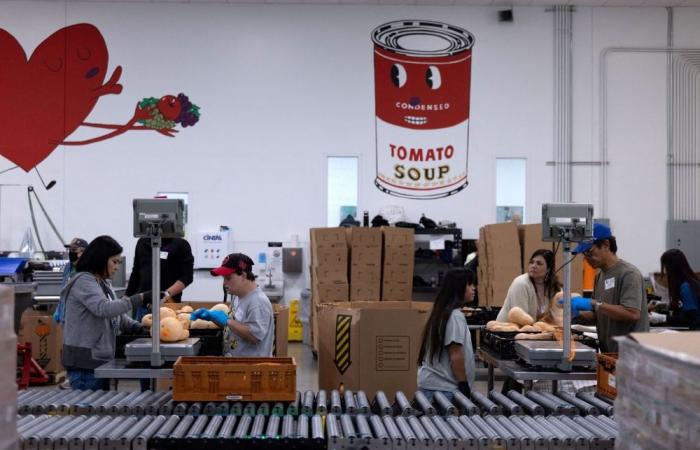 US Supreme Court allows Trump administration to withhold US$4b in food aid for 42 million Americans — for now