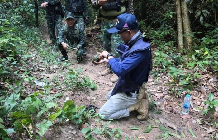 Thai army confirms new landmine planted near Cambodia border, calls it breach of peace deal
