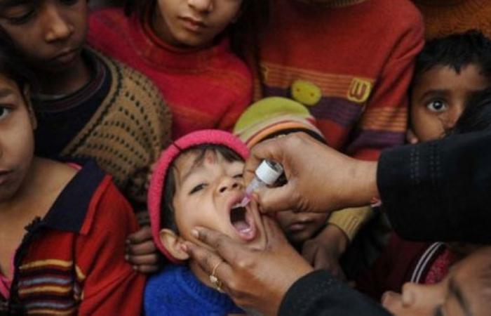 Why has wild polio been found in Germany, and what does it mean for the world