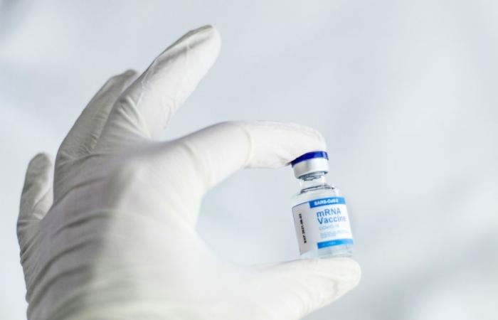 Indonesia declared free of poliovirus type 2 after three-year outbreak