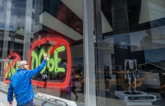 DOGE bites the dust: Trump’s govt efficiency unit disbands early