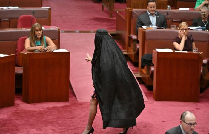 Burqa stunt earns Pauline Hanson seven-day suspension amid fierce condemnation from Australian Senate