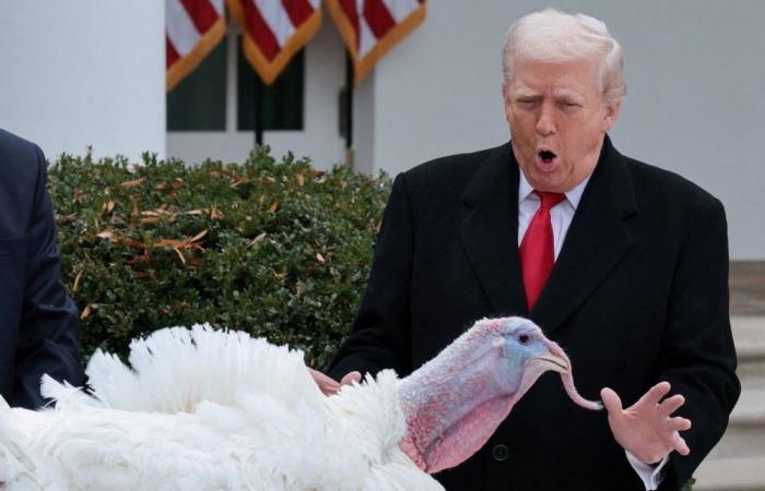Trump spares the turkeys, roasts the Democrats