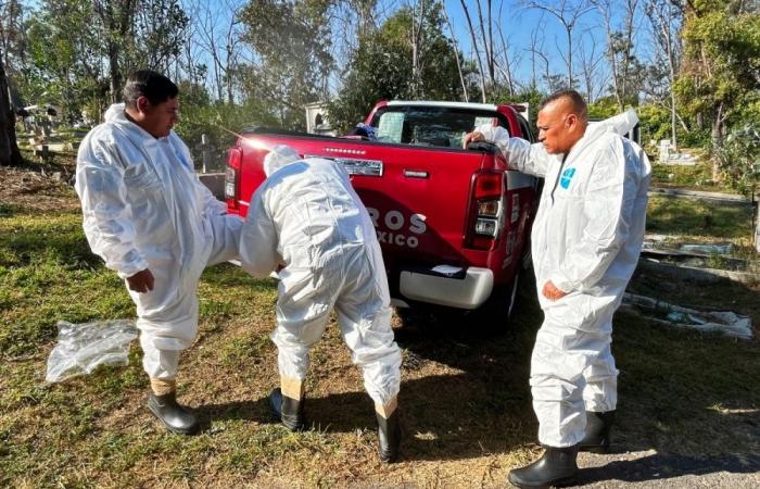 Mexico begins major exhumation effort as families seek answers in long-running disappearance cases