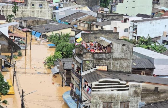 Clean-up begins in Thailand and Indonesia after catastrophic floods claim hundreds of lives