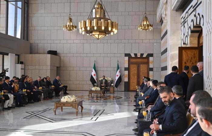 UN Security Council makes historic first visit to Syria ahead of Assad ousting anniversary