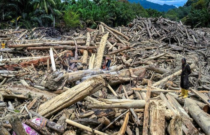 ‘Where can we go?’: Survivors pick up pieces in flood-hit Indonesia as more rain predicted