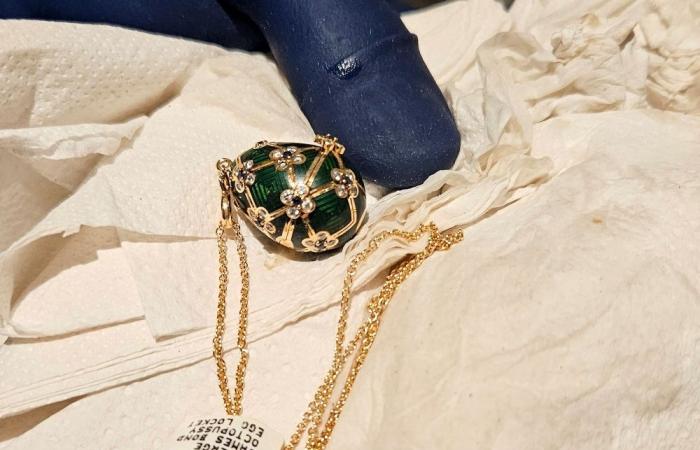 Case cracked: Faberge egg retrieved after thief swallows it