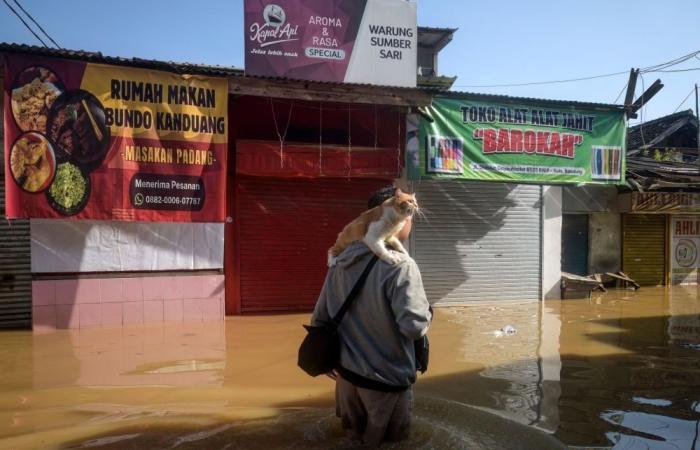 Starvation fears as more heavy rain threaten flood-ruined Indonesia