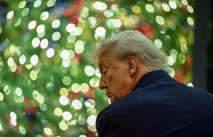 Trump takes aim at Europe in new security strategy