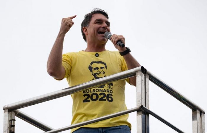 Brazil’s Bolsonaro taps son as political heir