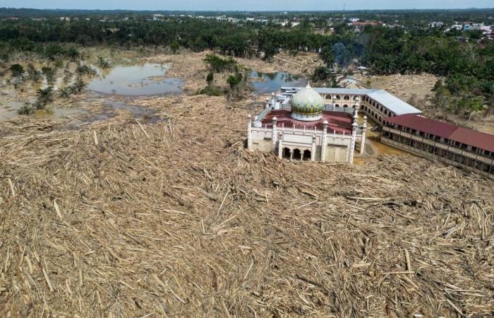 Indonesia counts losses after deadly rains and landslides kill over 1,000 in Sumatra