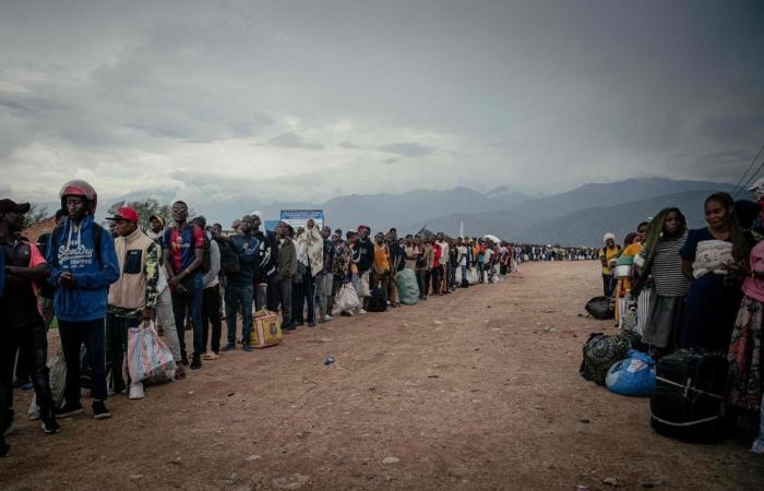 ‘Bombs were following us’: Congo refugees recount death and chaos as war reignites