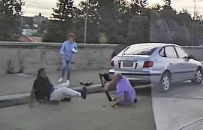 Dashcam reveals retired mechanic, wife tried to disarm Bondi Beach shooters before deaths