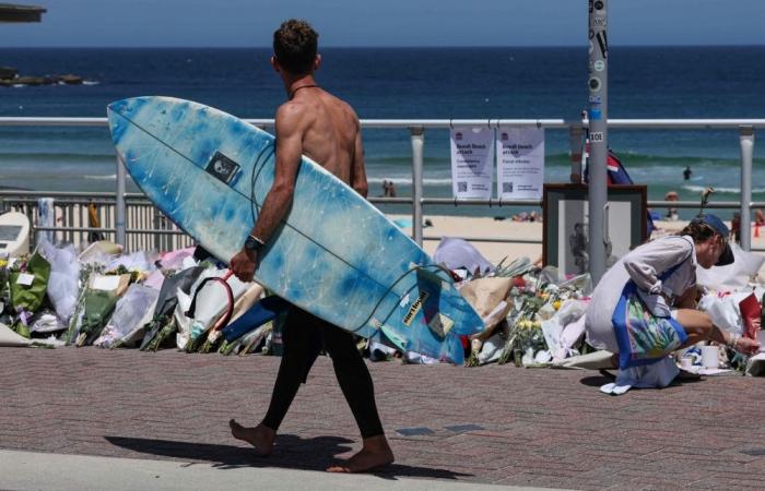 Crowds swim and paddle at Bondi Beach in tribute to victims