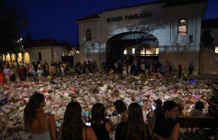 Australia PM orders police, intelligence review after deadly Bondi Beach shooting