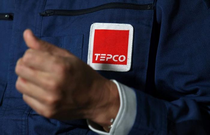 Japan set to restart world’s largest nuclear plant 15 years after Fukushima disaster