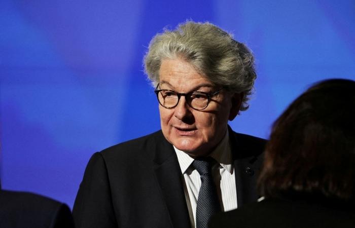 Washington bars entry to EU ex‑commissioner, four activists in dispute over social media laws