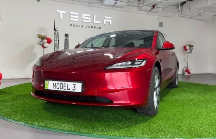 US safety officials probe Tesla door release after reports of trapped occupants in accidents