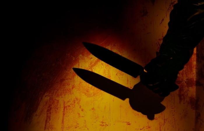 Fourteen injured in stabbing, liquid spray attack at factory in central Japan