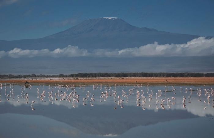 Helicopter crash on Mount Kilimanjaro kills five, including two Czech tourists