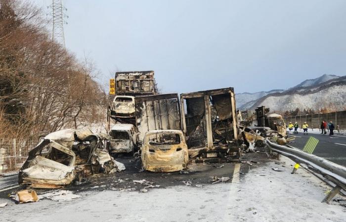 Multi-vehicle pileup on Japan’s Kan-etsu Expressway leaves two dead, dozens injured (VIDEO)
