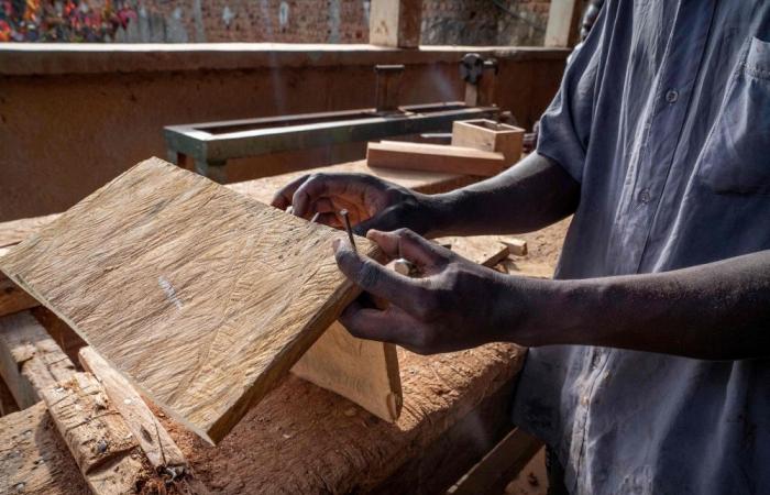 Kill or be killed: Captured children recount brutal life inside Islamic State-linked militia in DR Congo