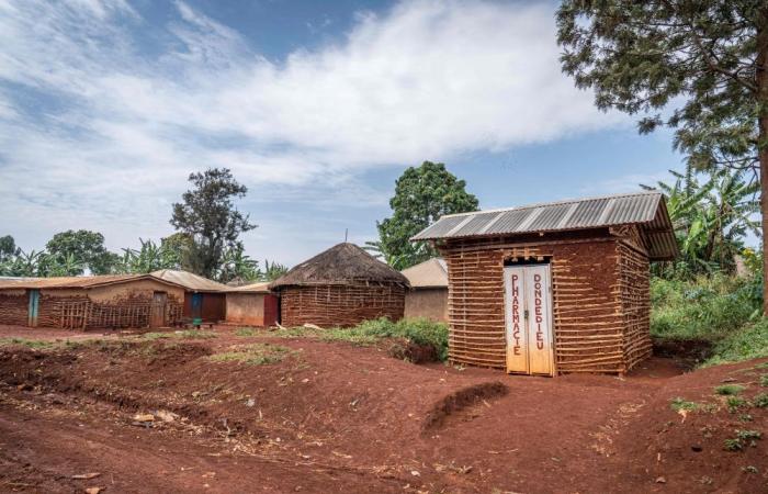 Kill or be killed: Captured children recount brutal life inside Islamic State-linked militia in DR Congo