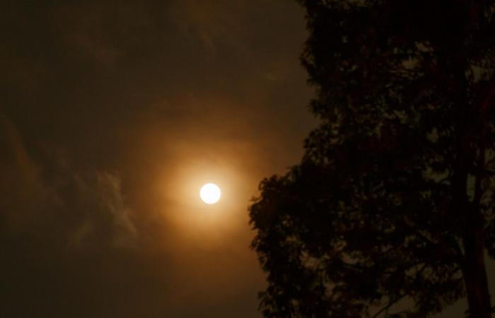 Global heatwave: 120 monthly temperature records broken across 70 countries in 2025