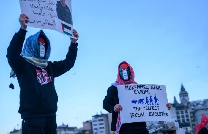 Thousands stage pro-Gaza rally in Istanbul