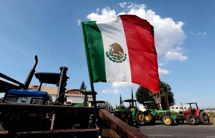 Trump signals land strikes against drug cartels after maritime attacks in Pacific, Caribbean