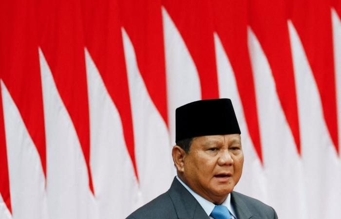 Indonesia’s Prabowo vows to open free medical schools to tackle doctor shortage