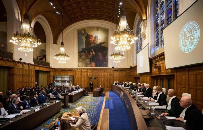 Rohingya 'targeted for destruction' by Myanmar, ICJ hears