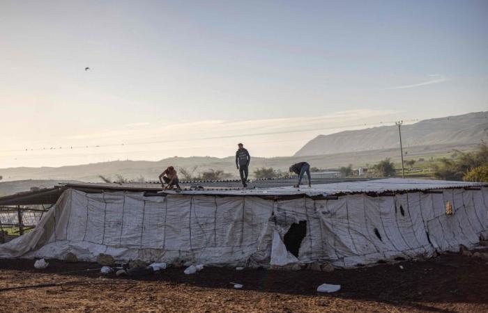 Pastoral colonialism: Israeli settler violence forces West Bank Bedouins off their land