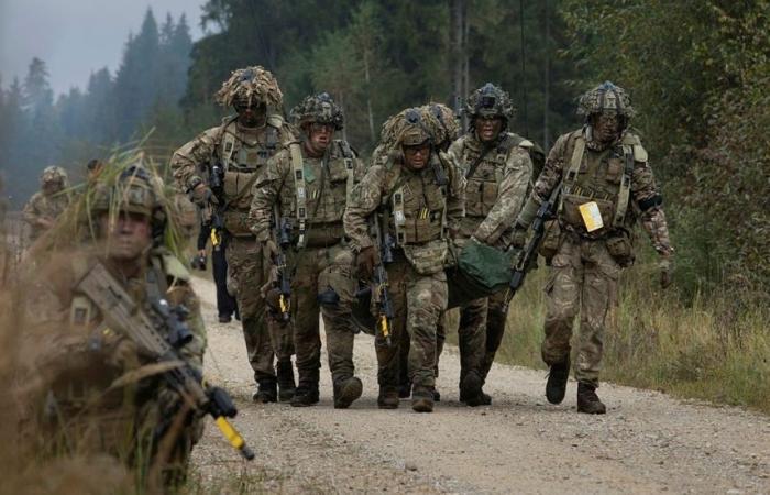 Britain expands reserve pool: Veterans aged 65 may be called back to service