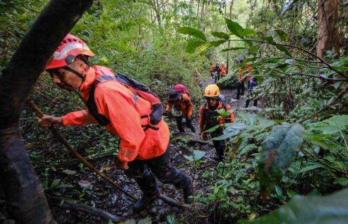 Rescuers recover one body from Indonesian fisheries plane crash, nine still missing