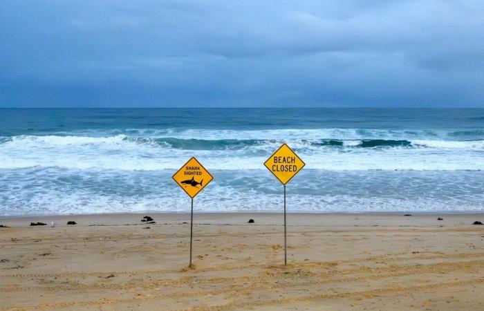 Shark bites surfer in Australian state’s fourth attack in 48 hours