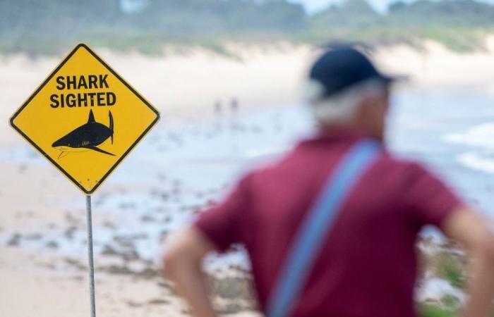 Sydney beaches stay closed after three shark attacks in two days