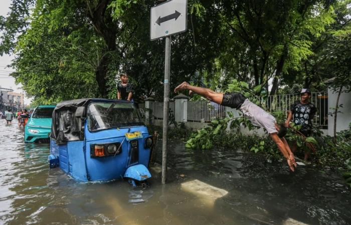 Indonesia revokes permits of 28 firms after deadly floods
