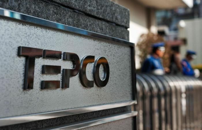 Japan halts nuclear reactor startup after alarm sounds during procedures