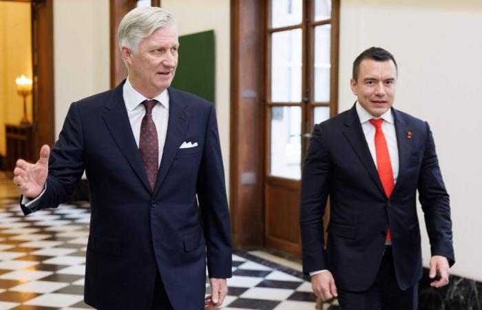 Belgian cops hunt the crooks who would be king, with AI scams