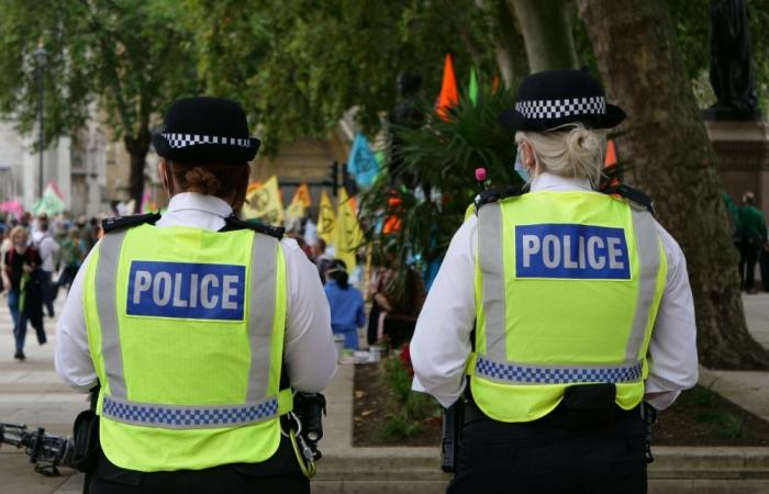 ‘British FBI’ on the cards as UK police undergo largest reforms in 200 years