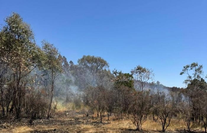 Firefighters order evacuation as heatwave bakes Australia
