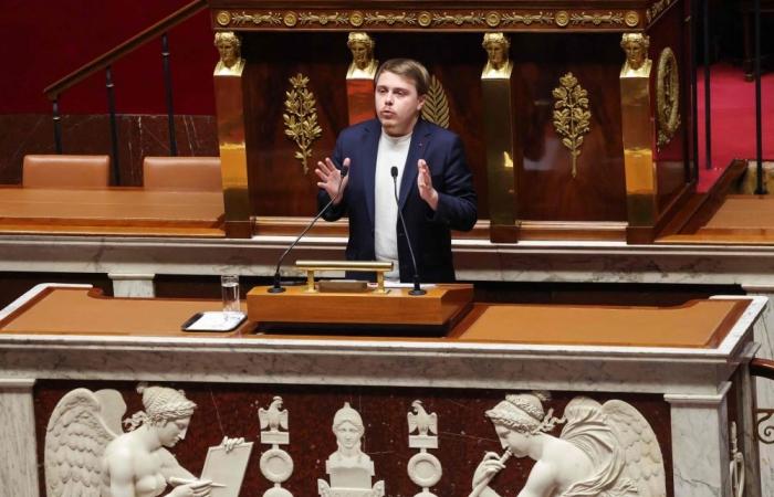 French lawmakers pass bill banning social media for under-15s