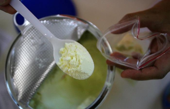 What to know about cereulide, the toxin behind Nestlé, Danone and Lactalis baby formula recalls