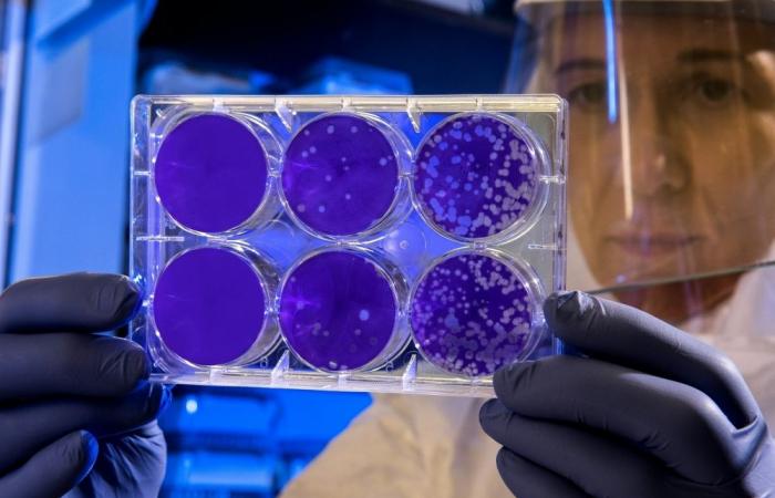 India confirms two Nipah cases in West Bengal, says outbreak contained with 196 contacts traced