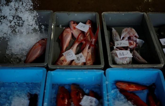 ‘Small incidents can lead to war’: Fearing China clash, Japan asks fishermen to avoid flashpoint islands